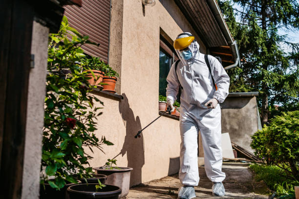 Reliable Chelsea, OK Pest Control Solutions