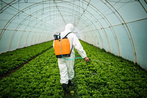 Best Affordable Pest Control Services  in Chelsea, OK