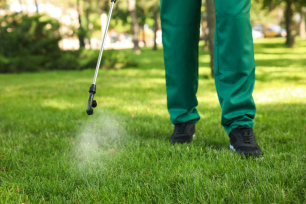 Best Exterminator Services  in Chelsea, OK
