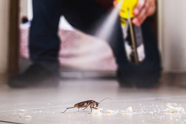 Wildlife Control Services in Chelsea, OK