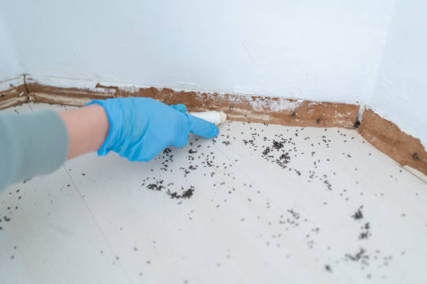 Best Pest Control for Restaurants  in Chelsea, OK