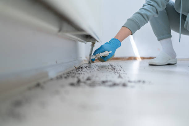 Best Affordable Pest Control Services  in Chelsea, OK